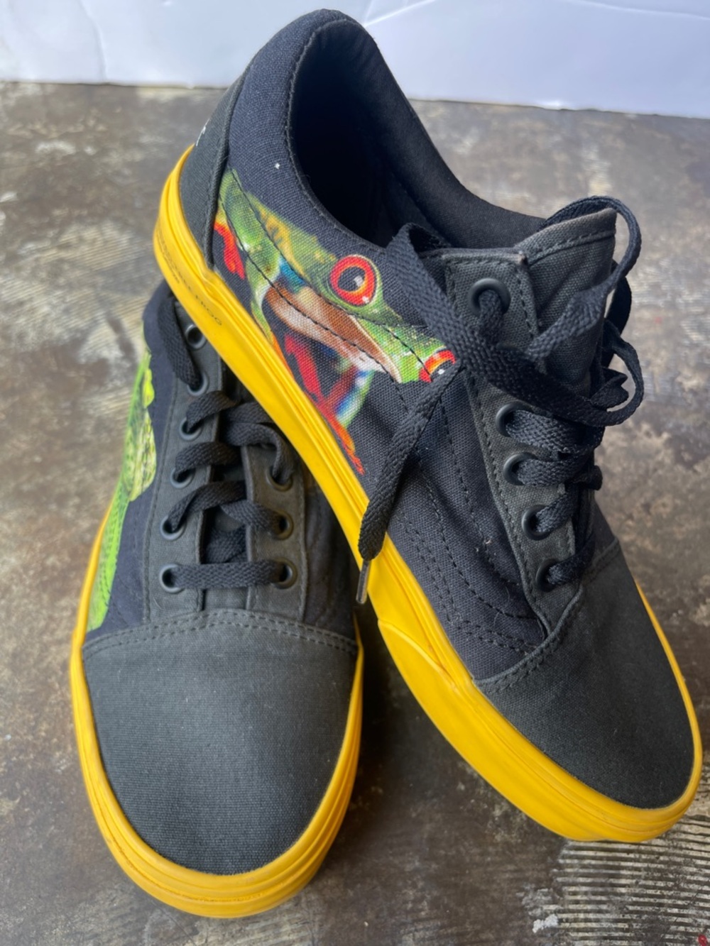 Vans National Geographic Animals Photo Black Sneakers Shoes